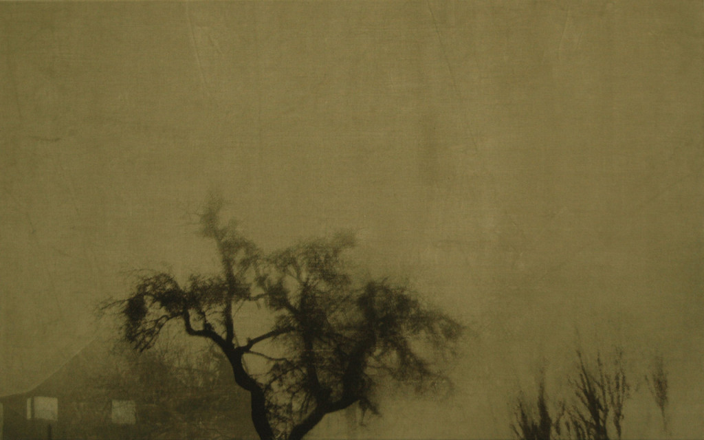 120 x 75 cm, screenprint on canvas, 2011